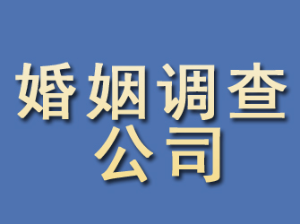 芦淞婚姻调查公司