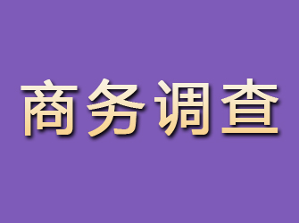 芦淞商务调查